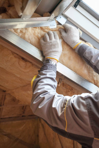 Eco-Friendly or Green Insulation Solutions in Centreville, AL